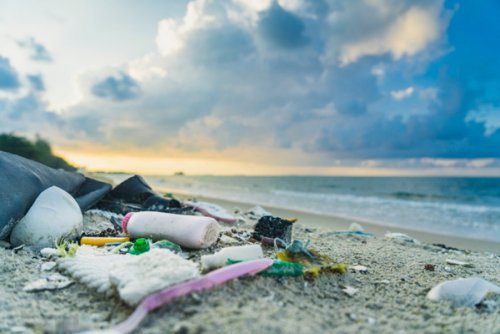 Brands such as L'Oréal pledged to reduce plastic waste through a variety of...