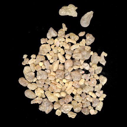 Frankincense gum-resin © société Albert Vieille