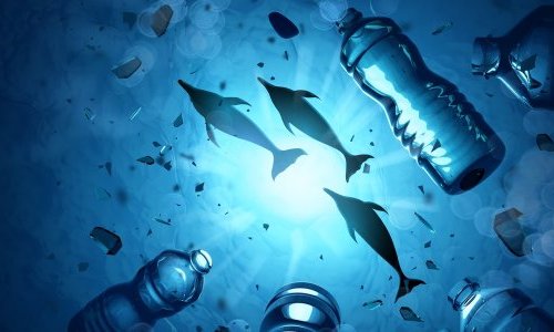 La pollution plastique des océans surestimée, mais toujours préoccupante