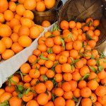 Within their palette of upcycled raw materials, TechnicoFlor perfumers selected tangerine (extracted from the peel of the fruit) and several other materials (Photo: TechnicoFlor)